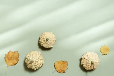 Dekoratif küçük balkabakları ve yeşil arka plan manzaralı sonbahar sarı yaprakları. Sonbahar, sonbahar, Cadılar Bayramı konsepti. Güzel güneş ışığı ve gölgelerle en düşük düzlükte yatıyordu. Tonu ayarlanmış resim