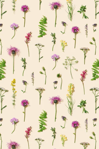 Minimální Přírodní Květinové Pozadí Letní Divoké Květiny Trávy Botanický Vzor — Stock fotografie