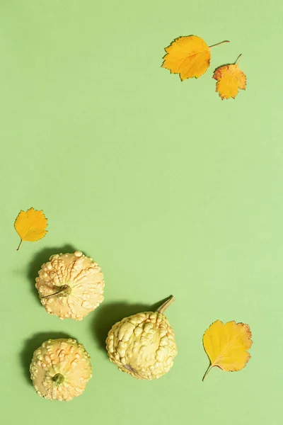 Плоска Осіння Композиція Декоративних Гарбузів Жовтого Листя Фоні Паперу Зеленого — стокове фото
