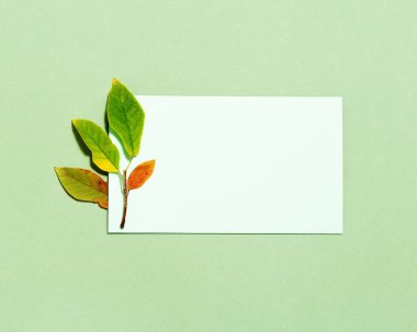 Yazı için boş beyaz kağıt ve pastel yeşil arka planda kırmızı turuncu sonbahar yaprakları ile sonbahar kompozisyonu. Minimum düzlük, sonbahar konsepti. Boşluğu kopyala