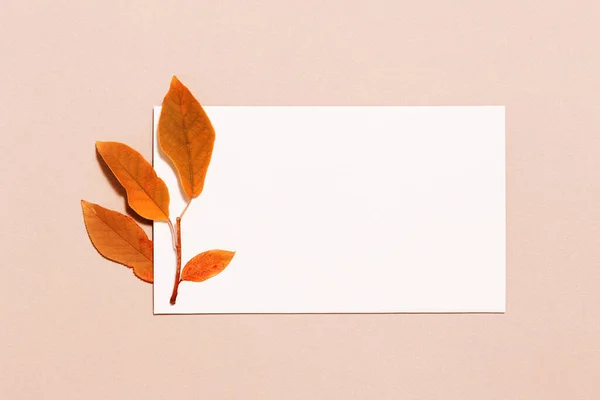 Σύνθεση Φθινοπώρου Άδειο Λευκό Χαρτί Για Κείμενο Και Κόκκινα Φύλλα — Φωτογραφία Αρχείου