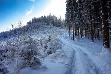Kar, ağaçlar ve mavi gökyüzü olan güzel kış manzarası