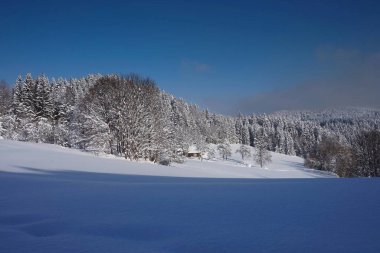 Kar, ağaçlar ve mavi gökyüzü olan güzel kış manzarası