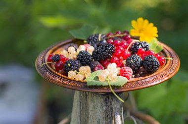 Çilek ahşap plaka üzerinde