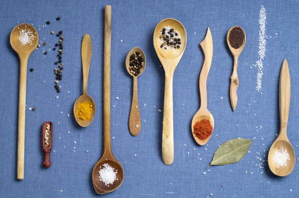 Salt, pepper, turmeric and paprika in wooden spoons — Stock Photo, Image