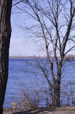 Güzel nehir manzarası