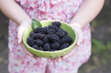 Meyveleri küçük bir kızın elinde ile kase