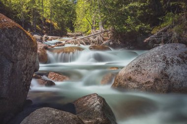 Kootenay Gölü İl Parkı 'ndaki Coffee Creek Şelalesi' nde bir yaz öğleden sonra, Kaslo, British Columbia, Kanada 'nın güneyinde doğal güzellik..