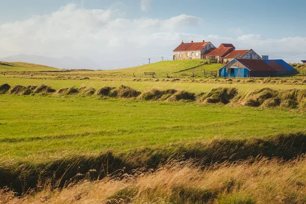 Picturesque Pastoral Scene Farmhouse Barn Southern Iceland Countryside Vik — Stock Photo, Image