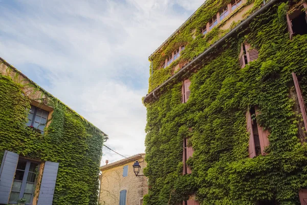 Une Bâtisse Couverte Lierre Dans Village Saignon Provence France — Photo