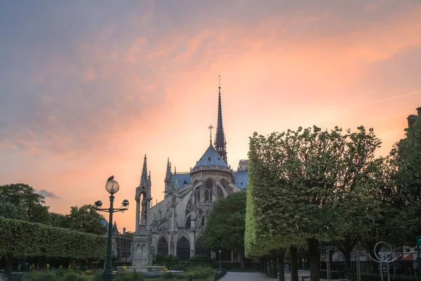 Paris Fransa Gün Batımında Ile Cite Deki Ünlü Notre Dame — Stok fotoğraf