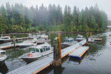 Renfrew Marina Limanı sisli ve bulutlu bir akşamda tüm balıkçı tekneleri rıhtıma yanaştı..