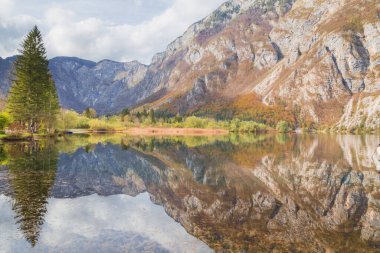 Slovenya 'nın Julian Alpleri' ndeki Triglav Ulusal Parkı 'ndaki Bohinj Gölü' nde bir sonbahar gününde dağ zemininde sakin bir yansıma.