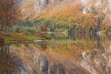 Slovenya 'nın Julian Alpleri' ndeki Triglav Ulusal Parkı 'ndaki Bohinj Gölü' nde bir sonbahar gününde dağ zemininde sakin bir yansıma.