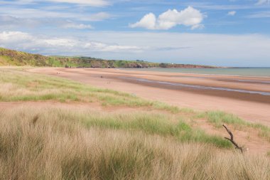 St. Cyrus Plajı 'nda açık güneşli bir günde deniz manzarası İskoçya' nın Aberdeenshire sahilinde St. Cyrus Ulusal Doğa Koruma Alanı 'nın bir parçası..
