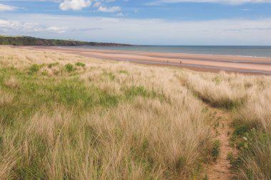 St. Cyrus Plajı 'nda açık güneşli bir günde deniz manzarası İskoçya' nın Aberdeenshire sahilinde St. Cyrus Ulusal Doğa Koruma Alanı 'nın bir parçası..