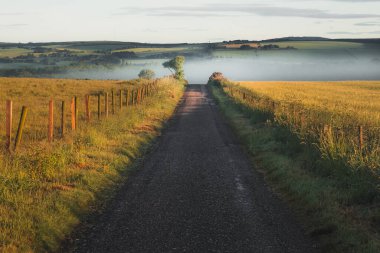 Stonehaven, İskoçya 'nın kırsal kesiminde eski boş bir köy yolu sisli bir bankaya ve altın gün doğumu ışığı olan yuvarlanan tepelere çıkıyor..