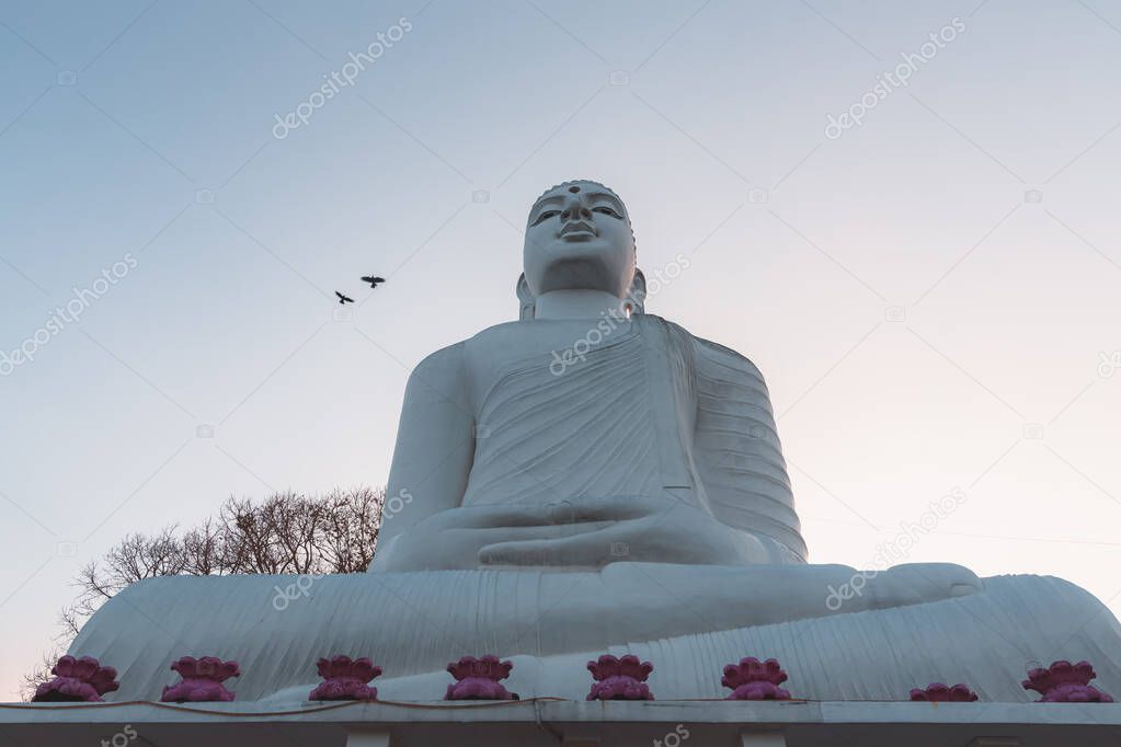 Giant white Buddha statue at Sri Maha Bodhi Viharaya, a Buddhist temple at Bahirawakanda at sunset or sunrise in Kandy, Sri Lanka.