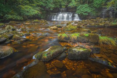 İngiltere 'nin başkenti İngiltere' deki Yorkshire Dales Ulusal Parkı 'ndaki Wensleydale' deki Cotter Force Falls ormanında güzel bir şelale manzarası..