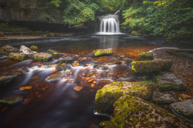 İngiltere 'nin başkenti İngiltere' de bulunan Yorkshire Dales Ulusal Parkı 'ndaki West Burton Falls veya Wensleydale' deki Cauldron Falls ormanlarındaki güzel şelale manzarası..