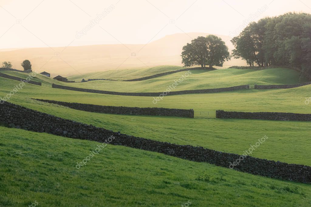 Golden misty light on old stone walls and rolling hills of the rural English countryside pastoral landscape in Swaledale of the Yorkshire Dales National Park.