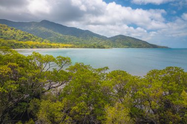 Landscape view of Cape Tribulation in the tropical Daintree Rainforest on the Coral Sea in Queensland, Australia on a sunny summer day.
