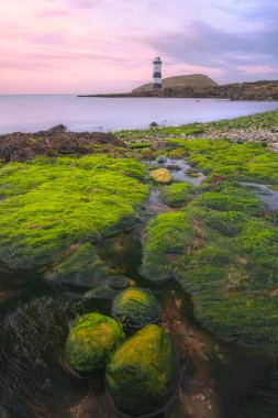 Penmon Point 'te gün doğumu deniz manzarası ve Anglesey, Kuzey Galler' deki yeşil yosun kayalık kıyı şeridi boyunca Trywn Du Deniz feneri..