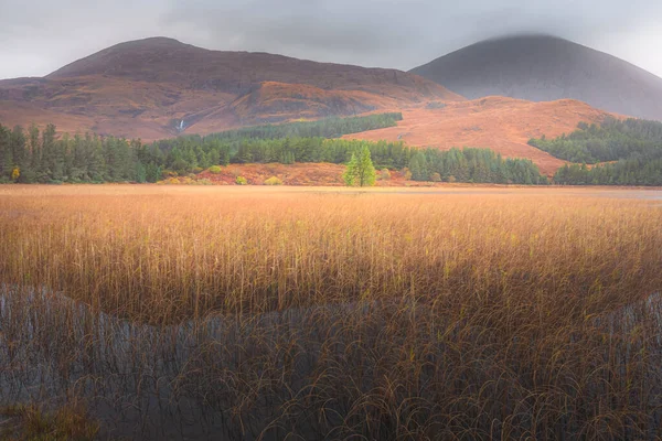 Calm peaceful mountain and lake landscape of Loch Cill Chriosd with submerged reed bed in Strath Suardal on the Isle of Skye, Scotland.