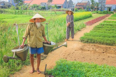 Vietnam 'ın Tra Que kentindeki kırsal kırsal kesimlerde yaşayan yaşlı Vietnamlı çiftçi çiftçiler bahçelerine ve sebze ekinlerine bakarlar..