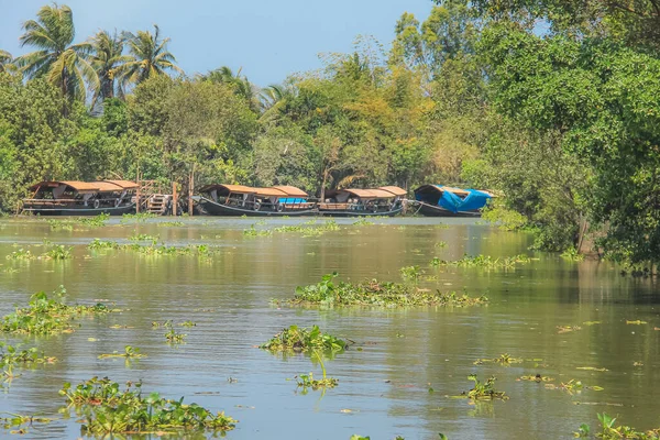 Barcos Sampan Vietnamitas Tradicionales Jacinto Flotante Agua Común Pontederia Crassipes — Foto de Stock