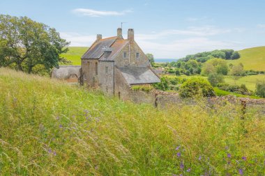 Abbotsbury, Dorset, İngiltere, İngiltere 'nin büyüleyici kırsal kesimindeki geleneksel taştan çiftlik evi..