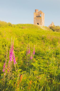 St. Ives, Cornwall, İngiltere 'nin dışındaki Giew Maden Motor Evi' nin eski terk edilmiş taş harabesi açık bir yaz akşamında.