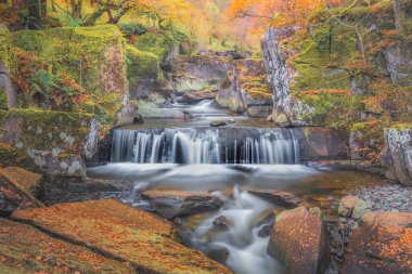 İskoçya, Callander, Lomond Gölü ve Trossachs Ulusal Parkı 'ndaki Bracklinn Şelalesi' nde şelalesi ve canlı sonbahar renkleriyle güzel, renkli bir sonbahar ormanı..