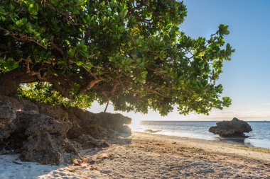 Anda beyaz Long Beach Bohol Adası'nda 