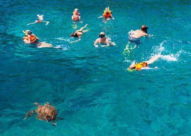 Similan Koh Similan No.8 Adası'nda turistler snorkling