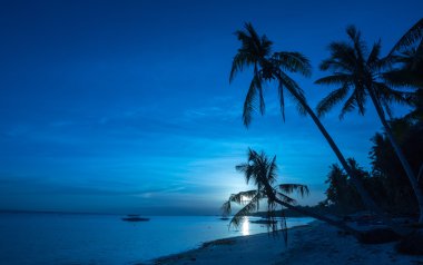 Tropikal Dumaluan Beach Panglao Bohol Adası'nda