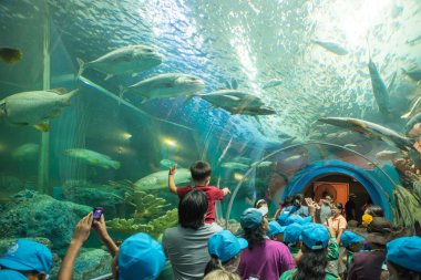 Tourists at the Aquatic tunnel in the Rayong Aquarium clipart
