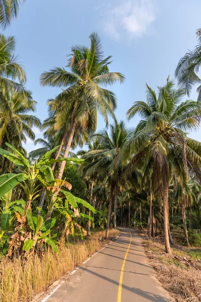 Estrada rural nas florestas de palmeiras da ilha de Koh Chang — Fotografia de Stock