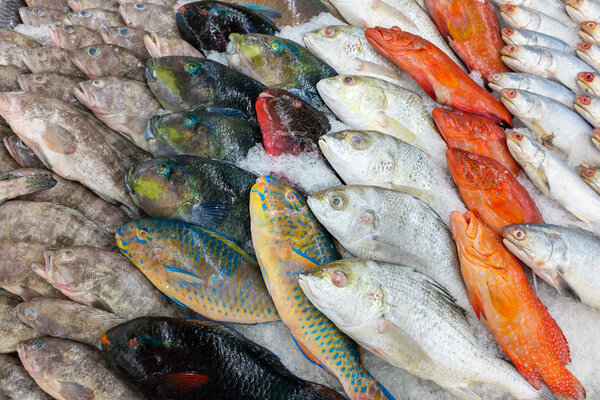 various fishes at the thailand market 