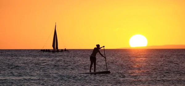 Silhuetten av en flicka som flyter på på sup surfbräda — Stockfoto