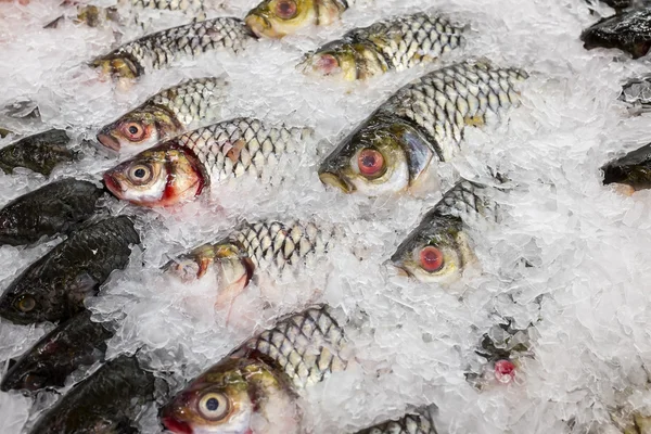 Varios peces en el mercado tailandés —  Fotos de Stock