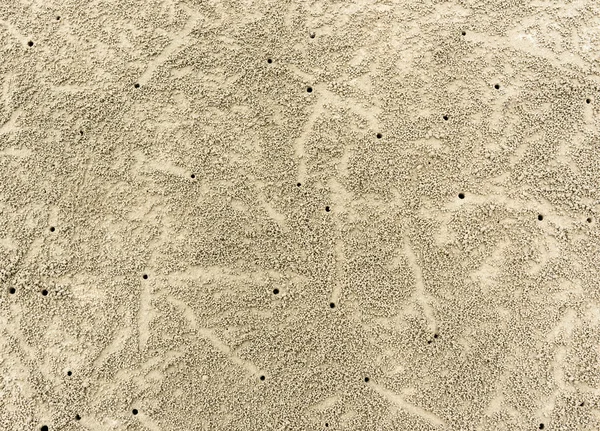 Zandstrand met krab sporen. — Stockfoto