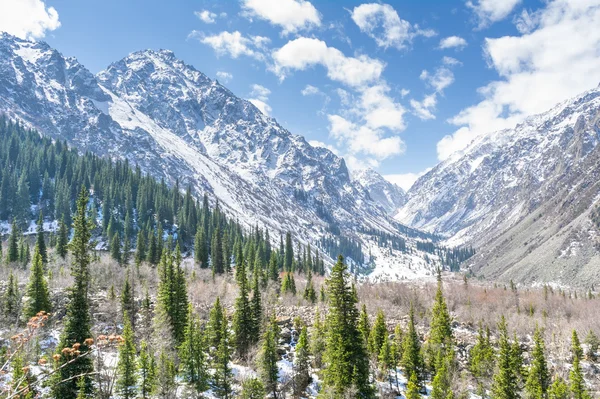 Paisaje montañoso del Parque Nacional Ala-Archa en Kirguistán — Foto de Stock