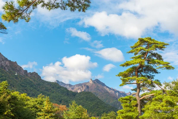 Parque Nacional Seoraksan, Corea del Sur — Foto de Stock