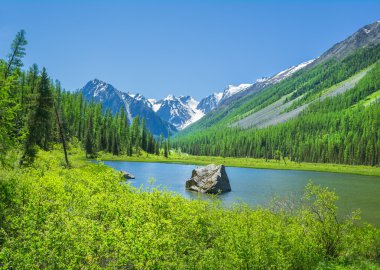 Rus Altay dağ manzarası