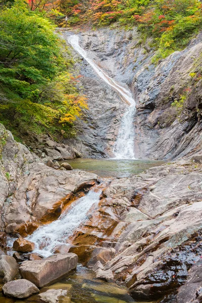 Cascada de caída en el Parque Nacional Seoraksan, Corea del Sur —  Fotos de Stock