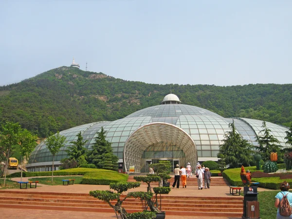 Теплица в стадии строительства Стоковое Фото