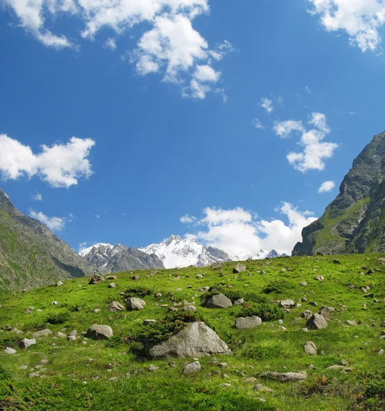 Montagnes Bezenghi au Caucase — Photo