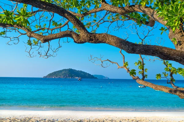 Spiaggia di Similan Koh Miang Island — Foto Stock