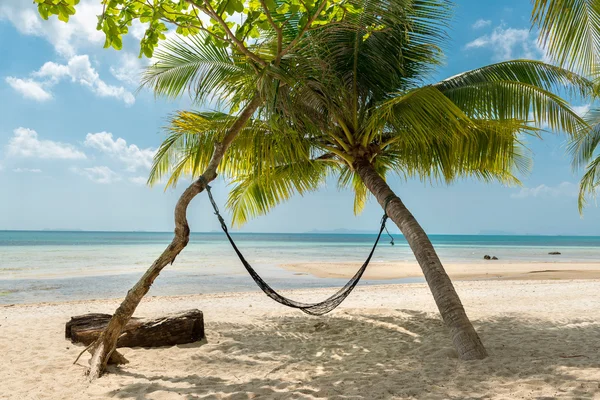 ハンモックとビーチ リゾートのヤシの木 — ストック写真